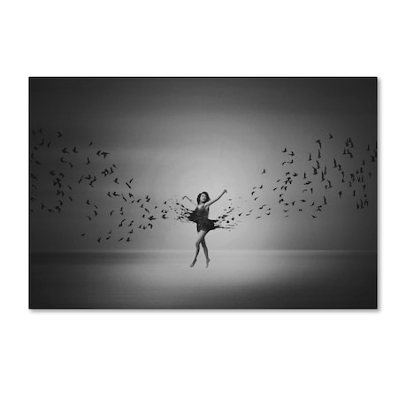 Mark Biwit 'Ballerina Flight Of Birds' Canvas Art,30x47